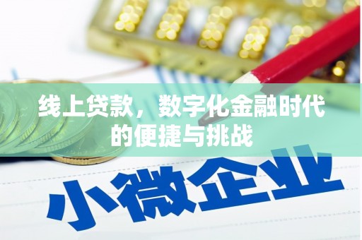 玄武线上贷款，数字化金融时代的便捷与挑战