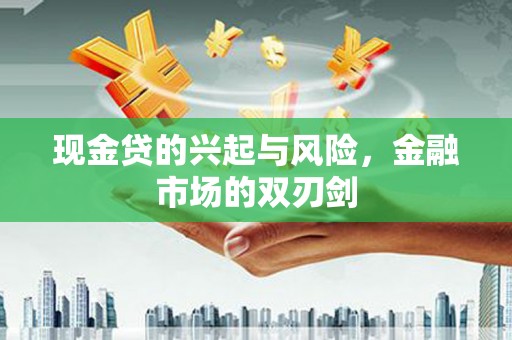 玄武现金贷的兴起与风险，金融市场的双刃剑