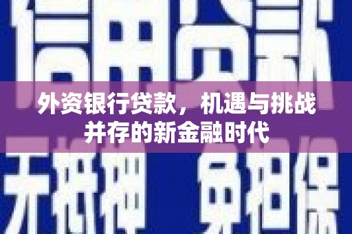 玄武外资银行贷款，机遇与挑战并存的新金融时代