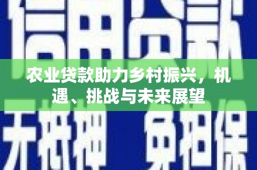 玄武农业贷款助力乡村振兴，机遇、挑战与未来展望