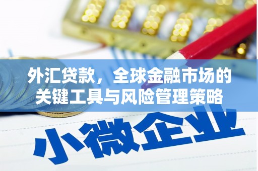 玄武外汇贷款，全球金融市场的关键工具与风险管理策略