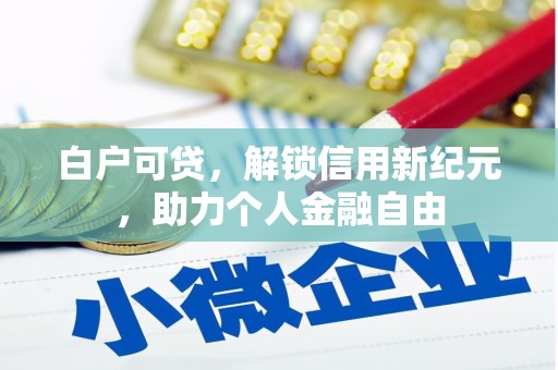 玄武白户可贷，解锁信用新纪元，助力个人金融自由