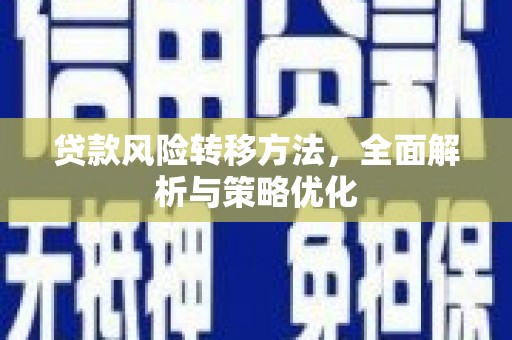 玄武贷款风险转移方法，全面解析与策略优化