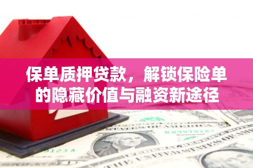 玄武保单质押贷款，解锁保险单的隐藏价值与融资新途径