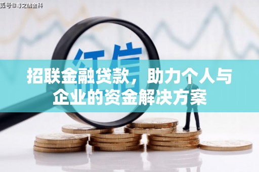 玄武招联金融贷款，助力个人与企业的资金解决方案
