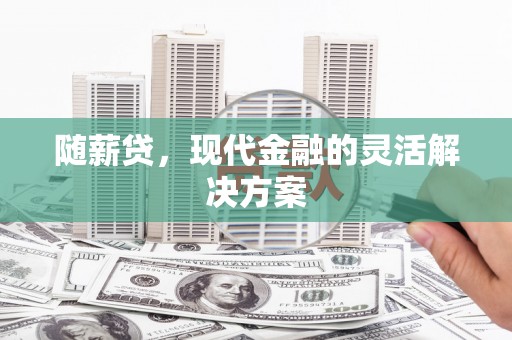 玄武随薪贷，现代金融的灵活解决方案