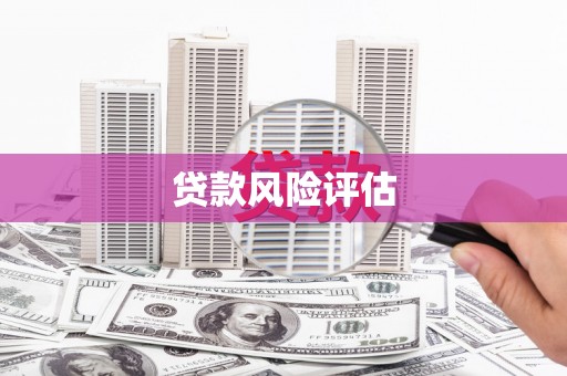 玄武贷款风险评估