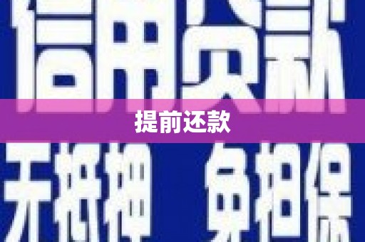 玄武提前还款