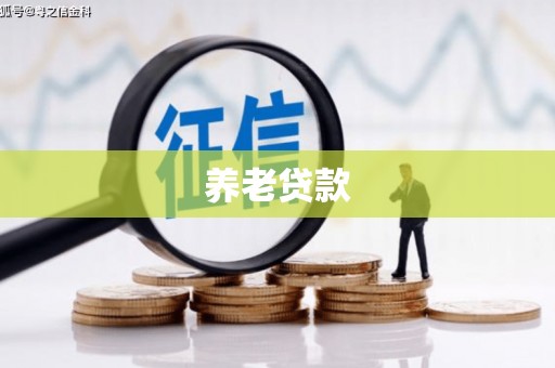 玄武养老贷款