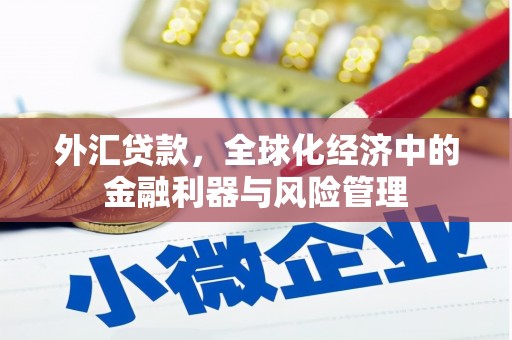 玄武外汇贷款，全球化经济中的金融利器与风险管理
