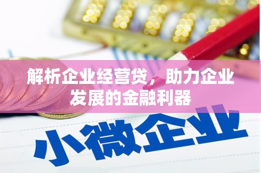 玄武解析企业经营贷，助力企业发展的金融利器