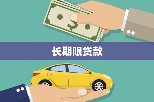 玄武长期限贷款