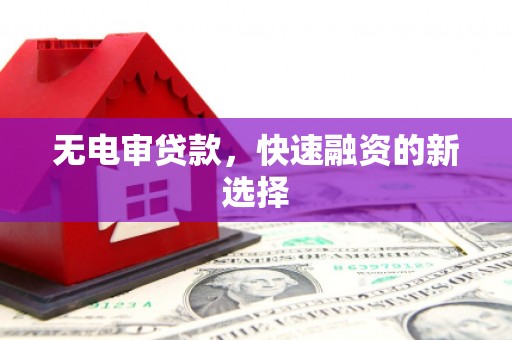 玄武无电审贷款，快速融资的新选择