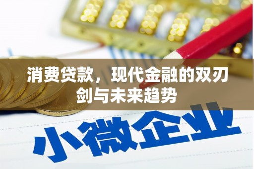 玄武消费贷款，现代金融的双刃剑与未来趋势