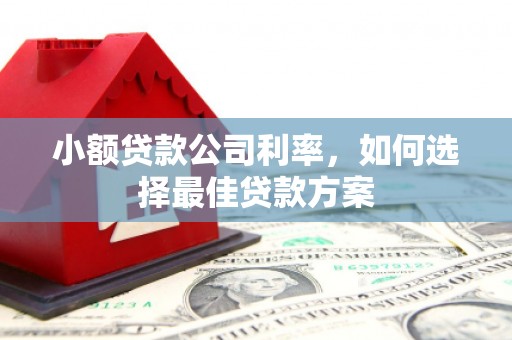 玄武小额贷款公司利率，如何选择最佳贷款方案