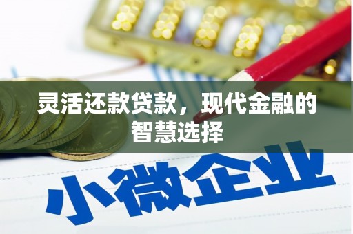玄武灵活还款贷款，现代金融的智慧选择