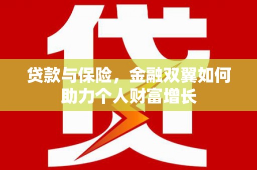 玄武贷款与保险，金融双翼如何助力个人财富增长