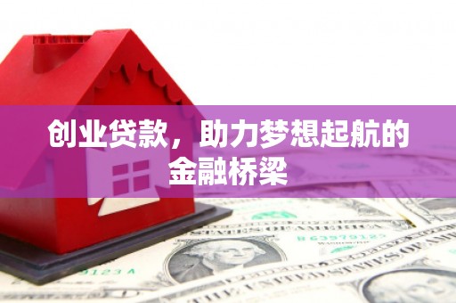 玄武创业贷款，助力梦想起航的金融桥梁