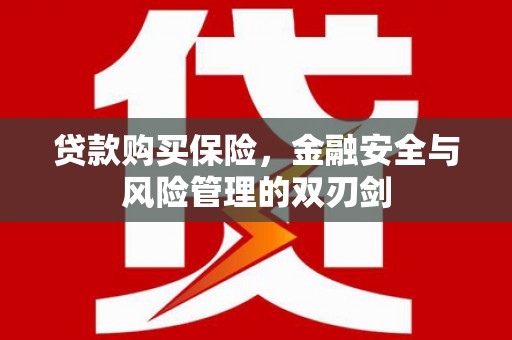 玄武贷款购买保险，金融安全与风险管理的双刃剑