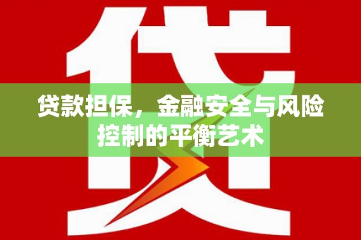 玄武贷款担保，金融安全与风险控制的平衡艺术