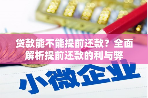 玄武贷款能不能提前还款？全面解析提前还款的利与弊