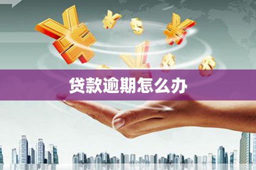 玄武贷款逾期怎么办