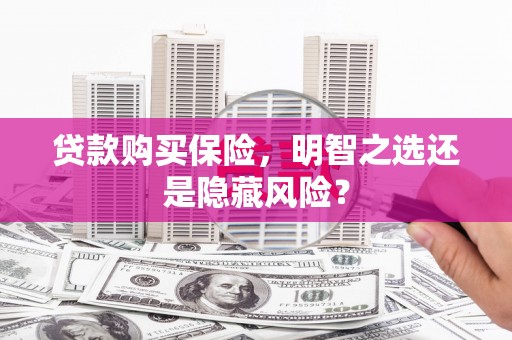 玄武贷款购买保险，明智之选还是隐藏风险？