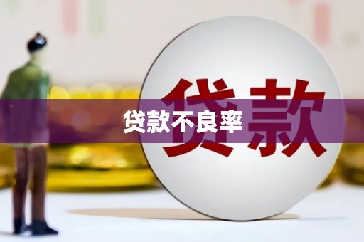 玄武贷款不良率