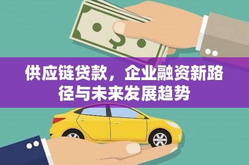 玄武供应链贷款，企业融资新路径与未来发展趋势
