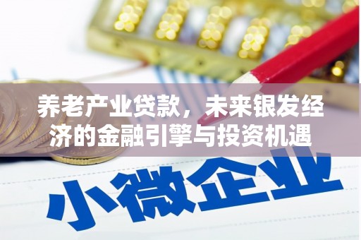玄武养老产业贷款，未来银发经济的金融引擎与投资机遇