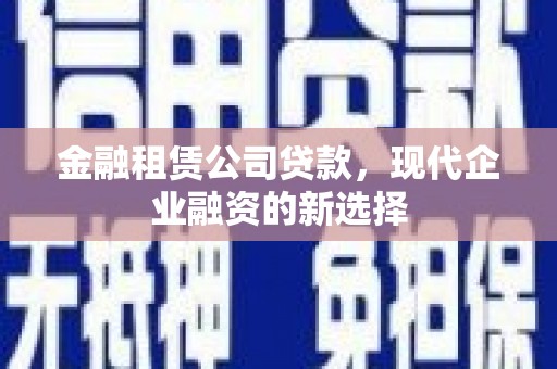 玄武金融租赁公司贷款，现代企业融资的新选择