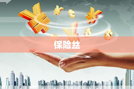 玄武保险丝