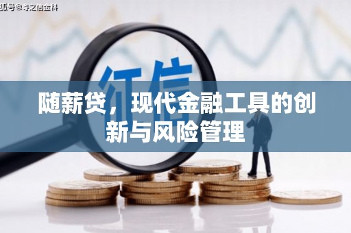 玄武随薪贷，现代金融工具的创新与风险管理