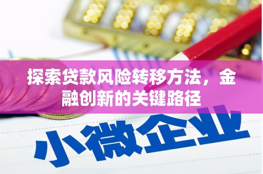 玄武探索贷款风险转移方法，金融创新的关键路径