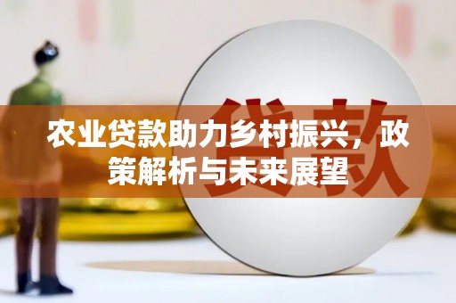 玄武农业贷款助力乡村振兴，政策解析与未来展望