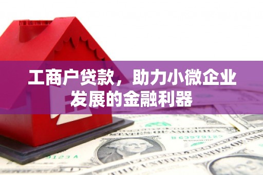 玄武工商户贷款，助力小微企业发展的金融利器