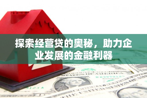 玄武探索经营贷的奥秘，助力企业发展的金融利器