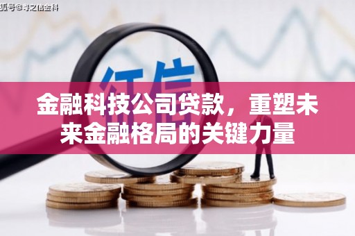 玄武金融科技公司贷款，重塑未来金融格局的关键力量