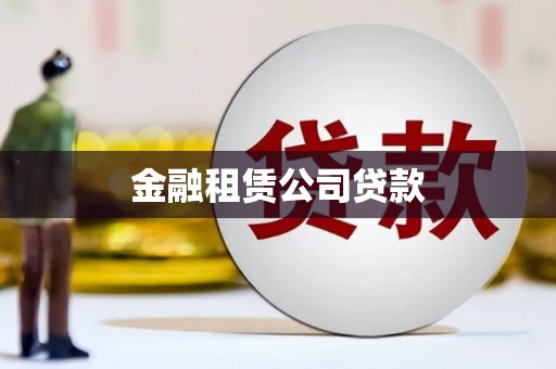 玄武金融租赁公司贷款