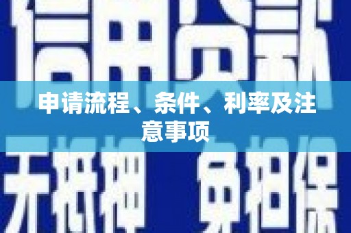 玄武申请流程、条件、利率及注意事项