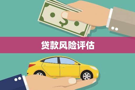 玄武贷款风险评估