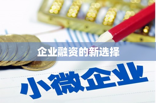 玄武企业融资的新选择