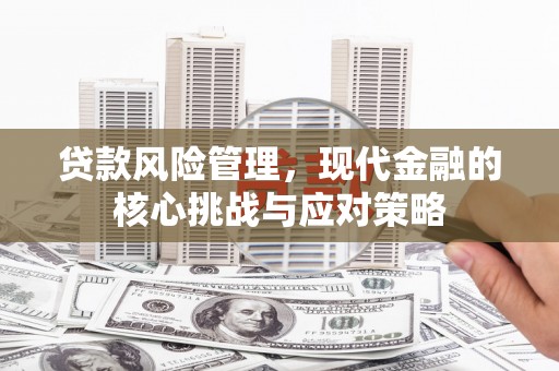 玄武贷款风险管理，现代金融的核心挑战与应对策略