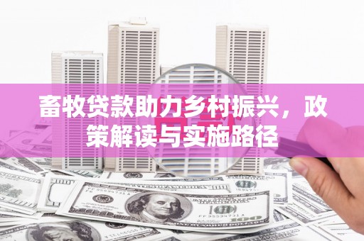 玄武畜牧贷款助力乡村振兴，政策解读与实施路径