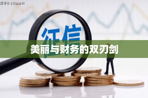 玄武美丽与财务的双刃剑