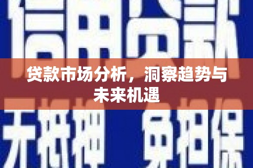 玄武贷款市场分析，洞察趋势与未来机遇