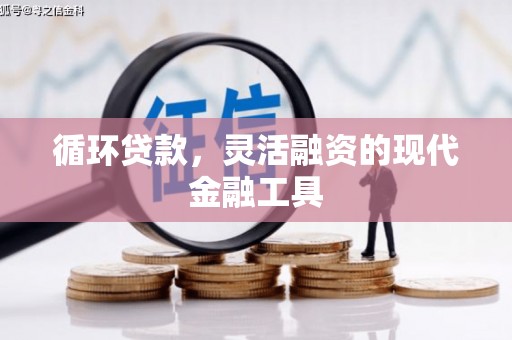 玄武循环贷款，灵活融资的现代金融工具
