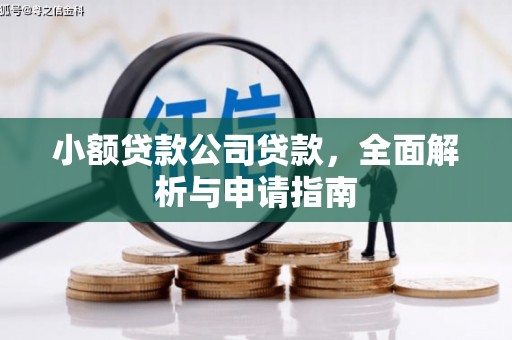 玄武小额贷款公司贷款，全面解析与申请指南