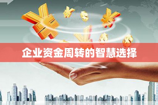 玄武企业资金周转的智慧选择