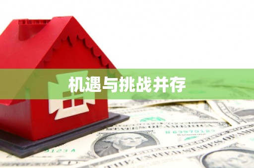 玄武机遇与挑战并存